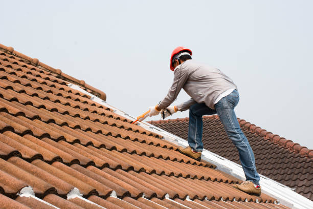 Best Commercial Roofing Services  in Claxton, GA